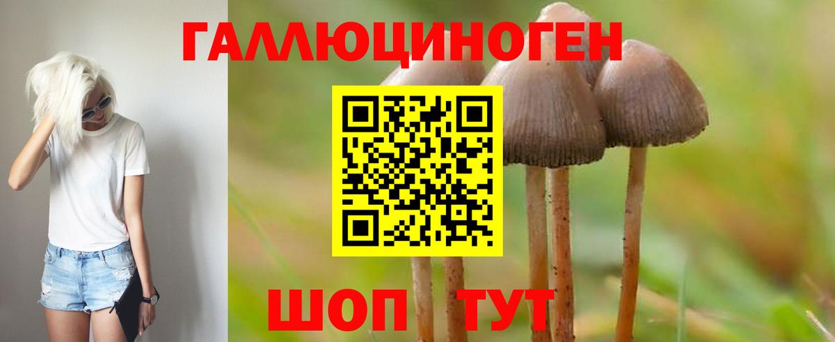 Галлюциногенные грибы GOLDEN TEACHER  Галлюциногенные грибы мицелий  Воронеж  Вход с VPN 